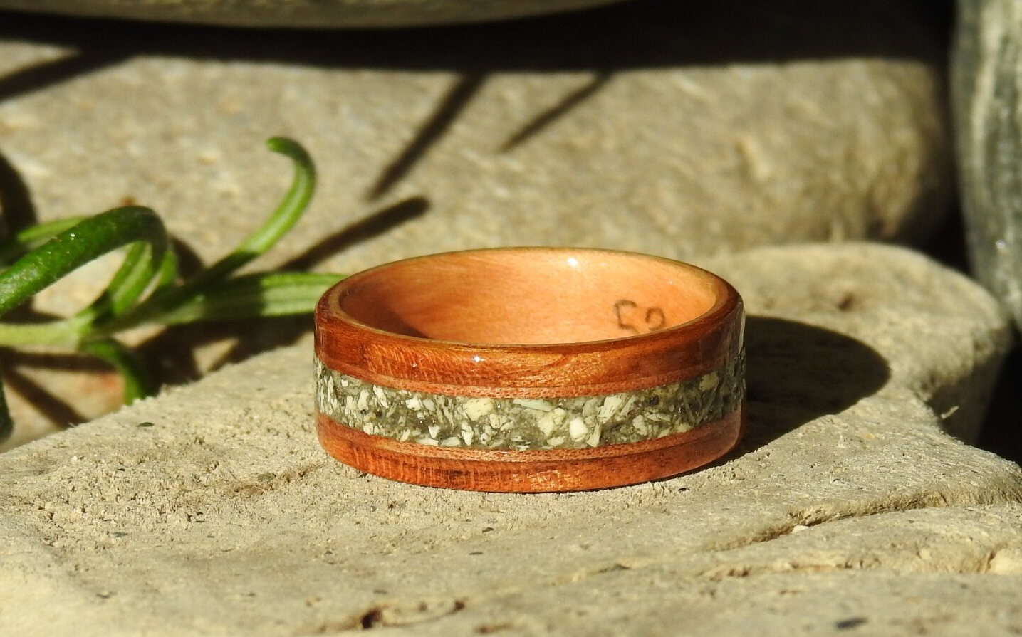 Cedar and Arbutus wood memorial ring resting on driftwood with a stone and a sprig of rosemary in background.