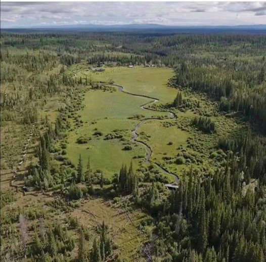 The land we steward on the Chilcotin Plateau in BC