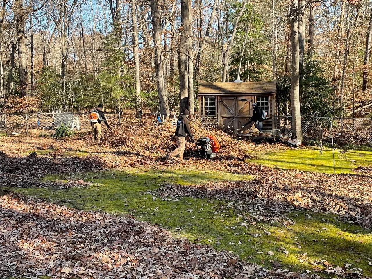 fall cleanup in southern md