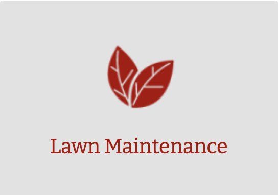 Lawn Maintenance