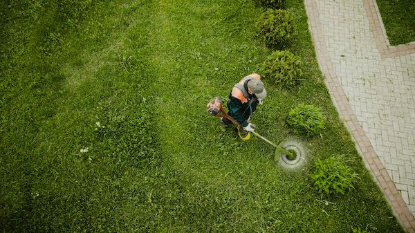 Lawn Care Services