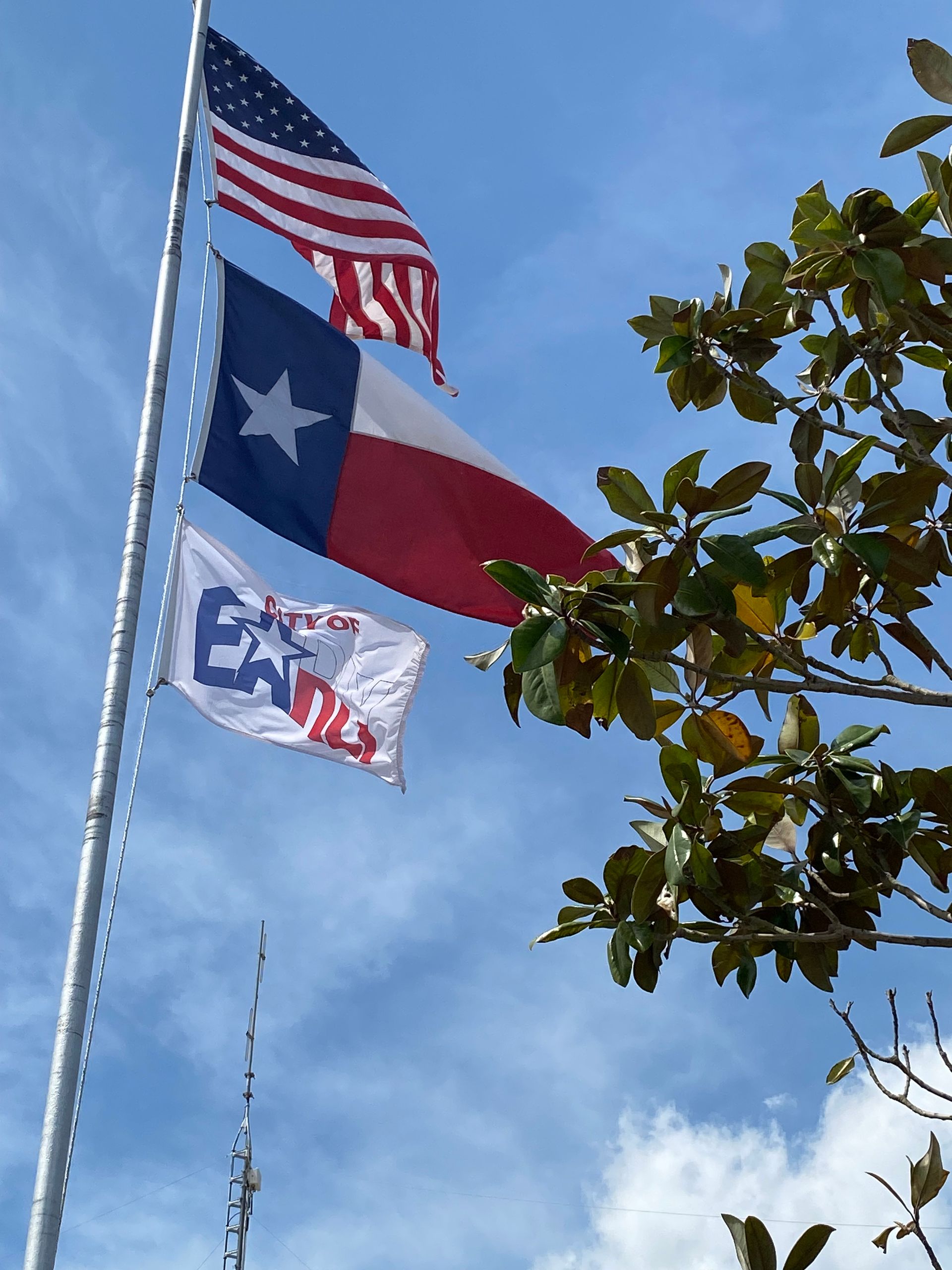 Flags flying outside city hall in Early, TX