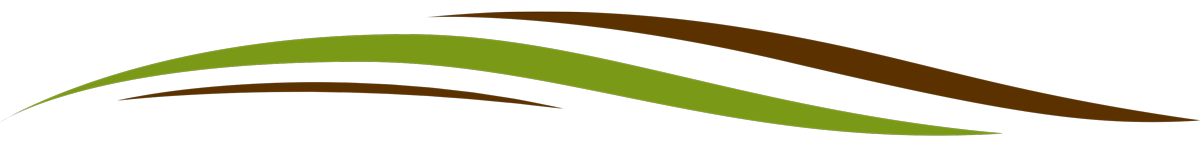 Abstract green and brown curved swooshes on a white background