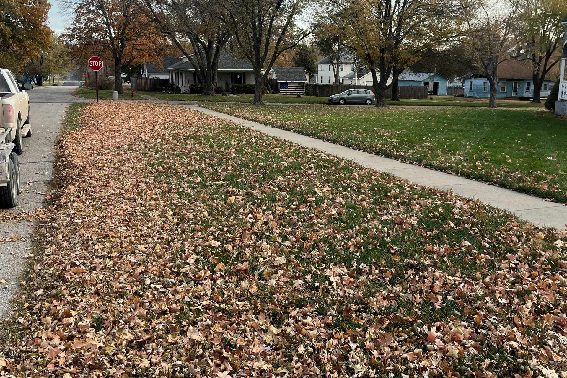 Sidewalk lined with fallen autumn leaves beside a grassy park and quiet residential street.