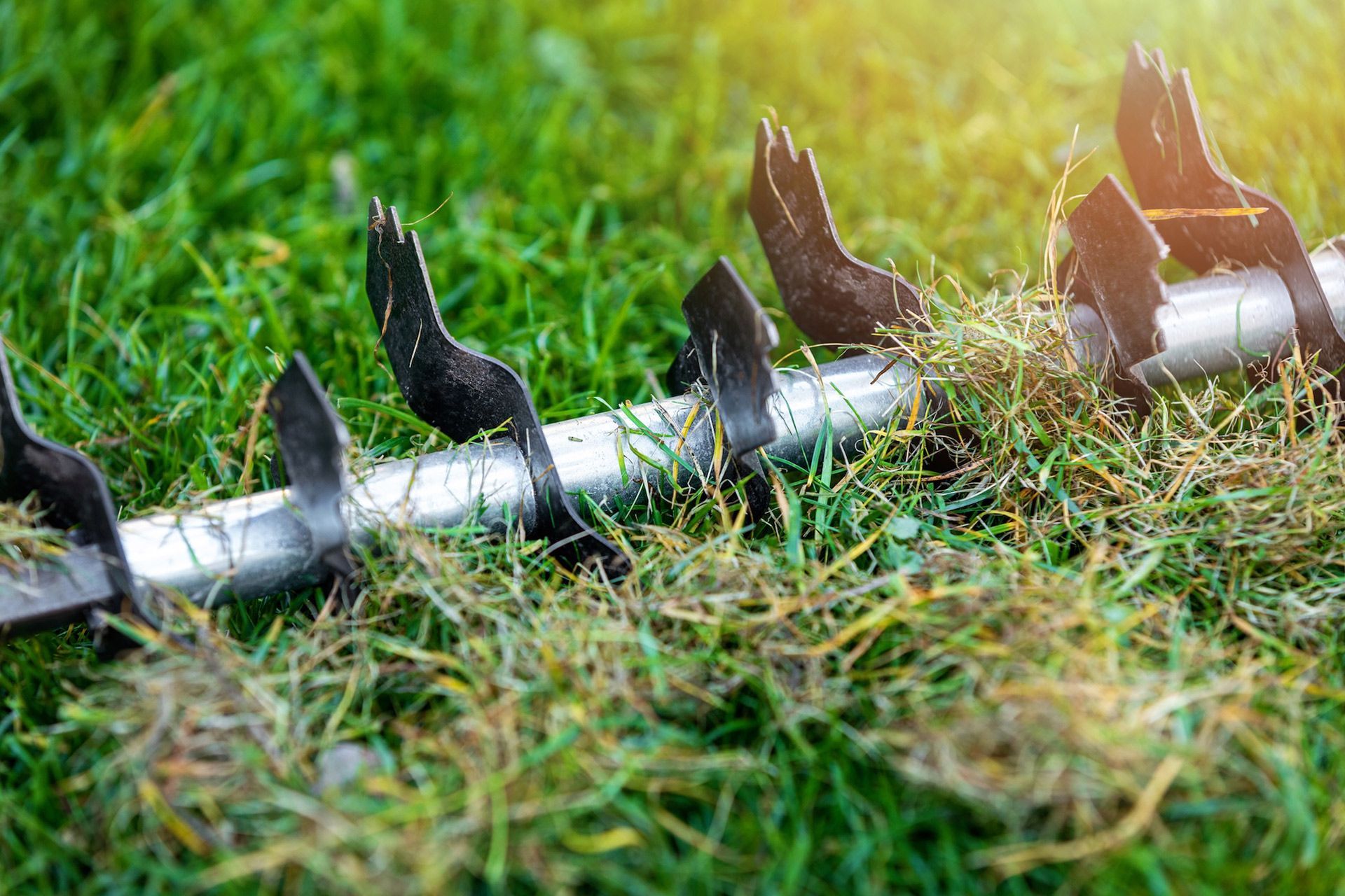 Metal garden hose with black spikes lying on grass, catching sunlight