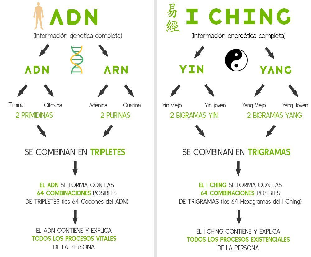 Diagrama del ADN y el I Ching en español