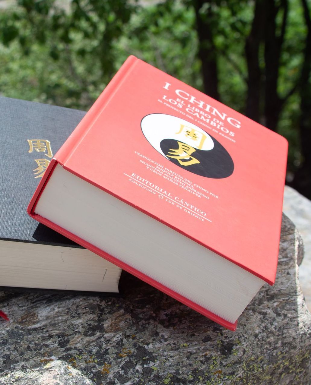 Un libro titulado I Ching se encuentra sobre una roca