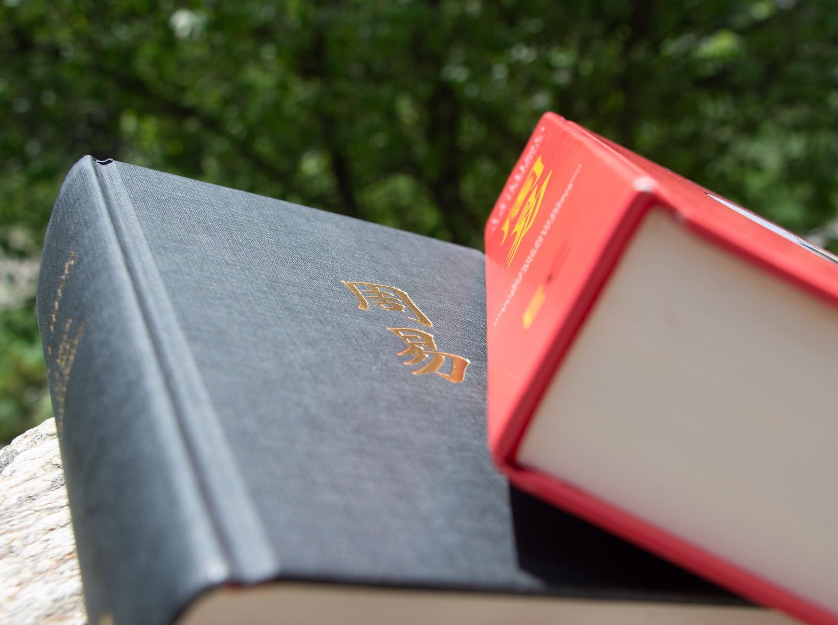 Dos libros están apilados uno encima del otro, uno de los cuales tiene una tapa roja.