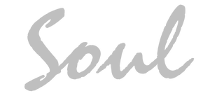 Programme Soul