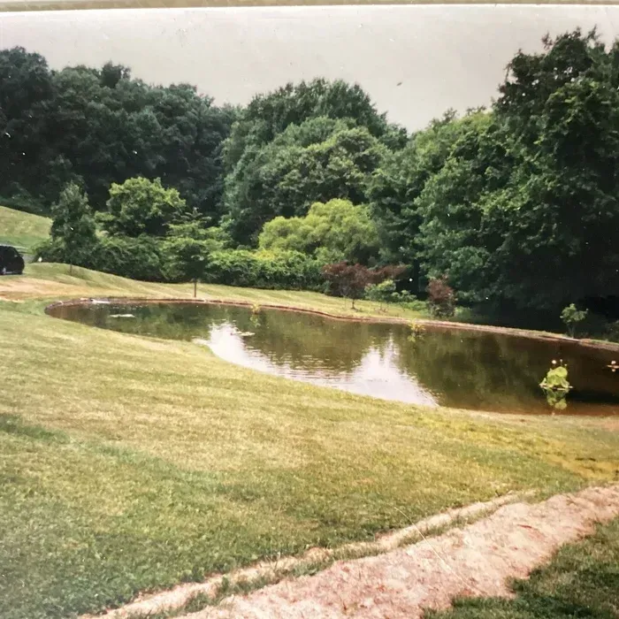 A small, oval pond sits in a grassy lawn, surrounded by lush green trees and a dirt path in the foreground.