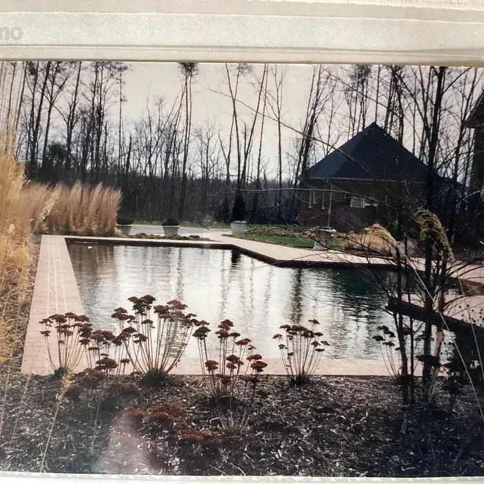 A rectangular swimming pool with brick coping, surrounded by decorative plants, trees, and a gazebo in a wooded area.