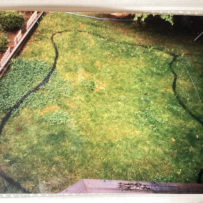 An elevated view of a grassy yard with black garden edging outlining a curved garden bed area.