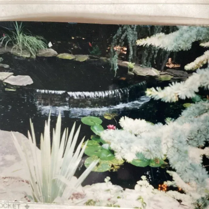A pond featuring a stone waterfall, lily pads, a blooming flower, and surrounding plants, viewed from behind foliage.