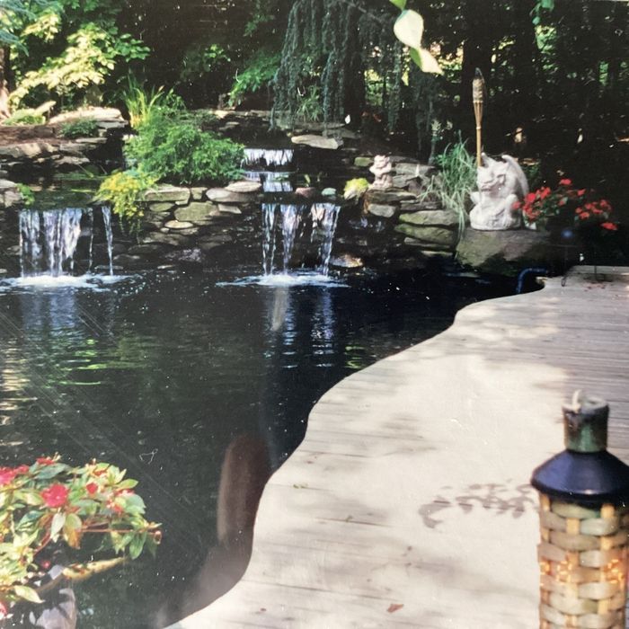 A backyard pond features two small waterfalls cascading over stone rocks, surrounded by greenery and a stone patio.