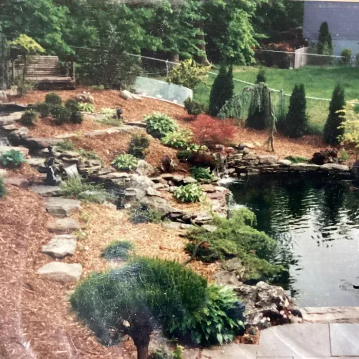 A backyard landscape features a stone pond with a waterfall, surrounded by rocks, mulch, varied shrubs, and a path of stones.