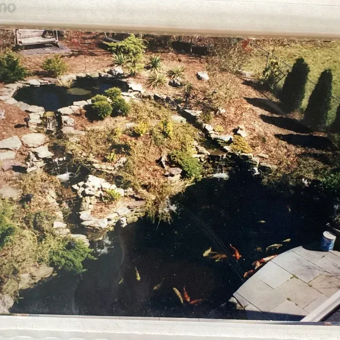 A koi pond with a rocky waterfall, surrounded by landscaping, seen from an elevated, indoor window view.
