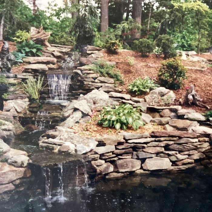 A tiered stone waterfall flows into a garden pond, surrounded by mulch, rocks, and various green shrubs and foliage.