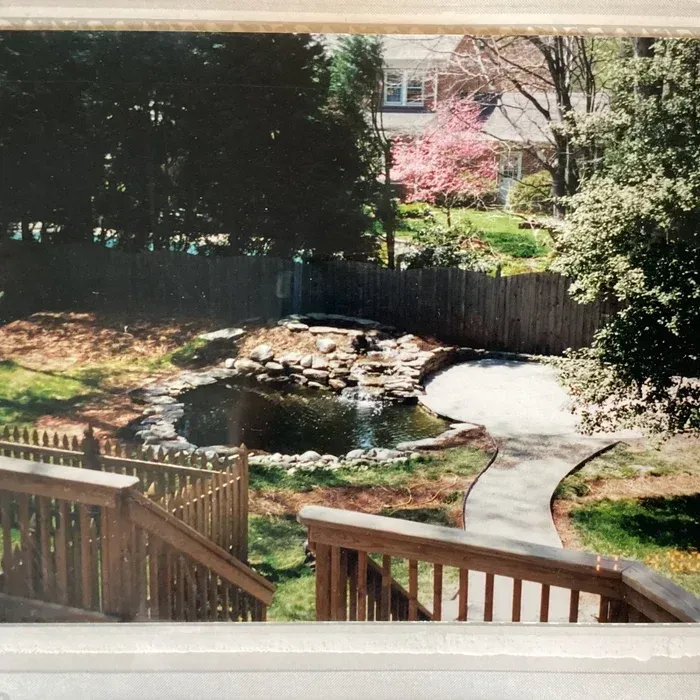 A backyard pond with a stone waterfall feature, a curved walkway, and a wooden deck, surrounded by trees and greenery.