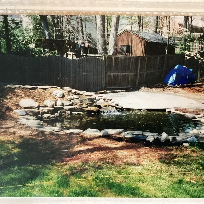 A backyard pond with a stone waterfall feature, surrounded by mulch, grass, and a wooden fence, with a shed in the back.