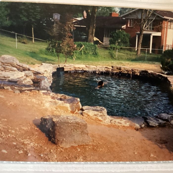 A person swimming in a natural-style rock pool with a waterfall in a grassy backyard setting.