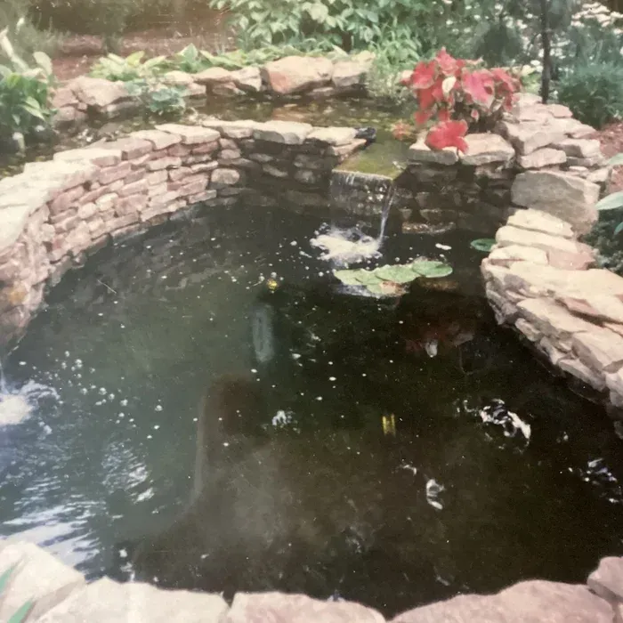 A stone-walled backyard pond with a small waterfall feature, lily pads on the surface, and surrounding lush greenery.
