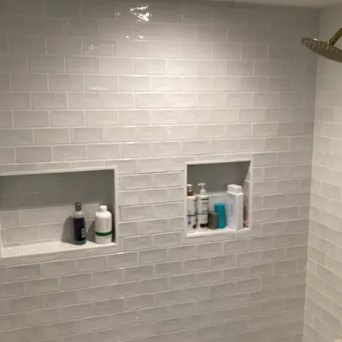 A tiled bathroom wall features two recessed shelves containing various shower bottles and toiletries.