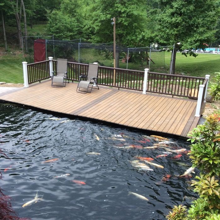 A wooden deck with two chairs overlooking a pond filled with numerous swimming koi fish in a grassy backyard.