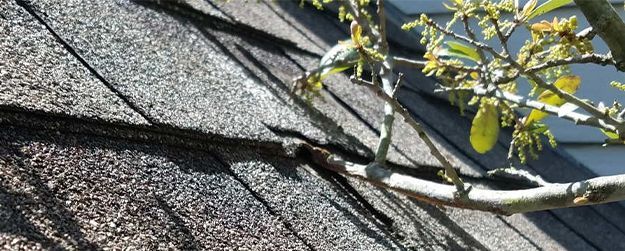 Spring Roofing Services