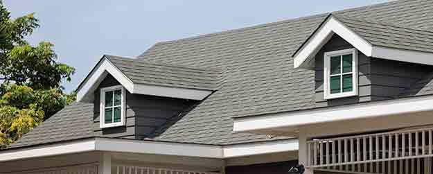 Roofing Professionals