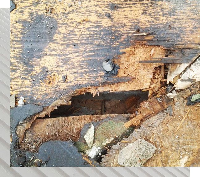Cape Coral Roof Repair | Roof Smart of SW Florida Cape Coral Roof Repair