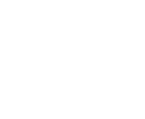 Cary Performance logo