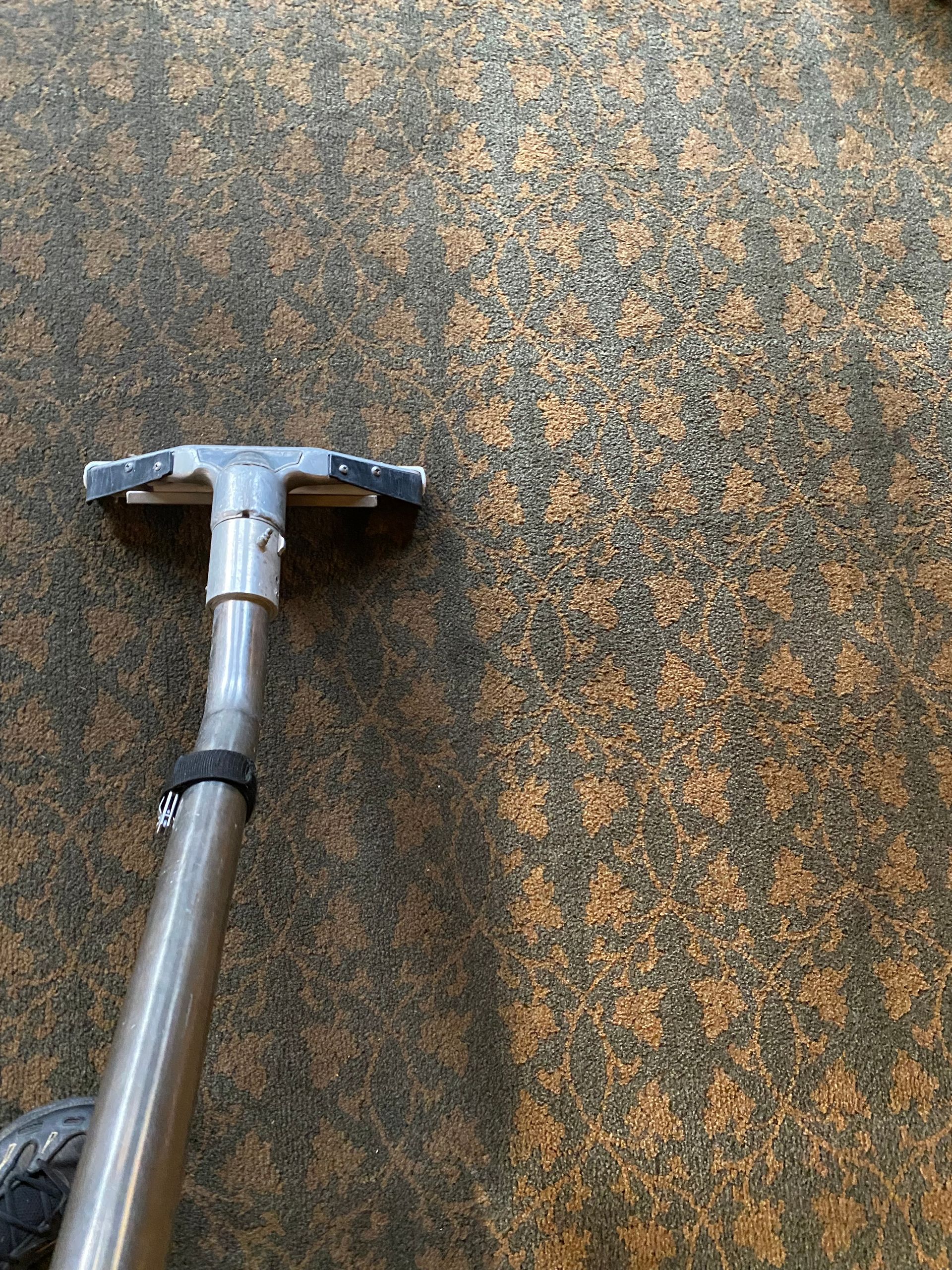 A vacuum cleaner is being used to clean a carpet.