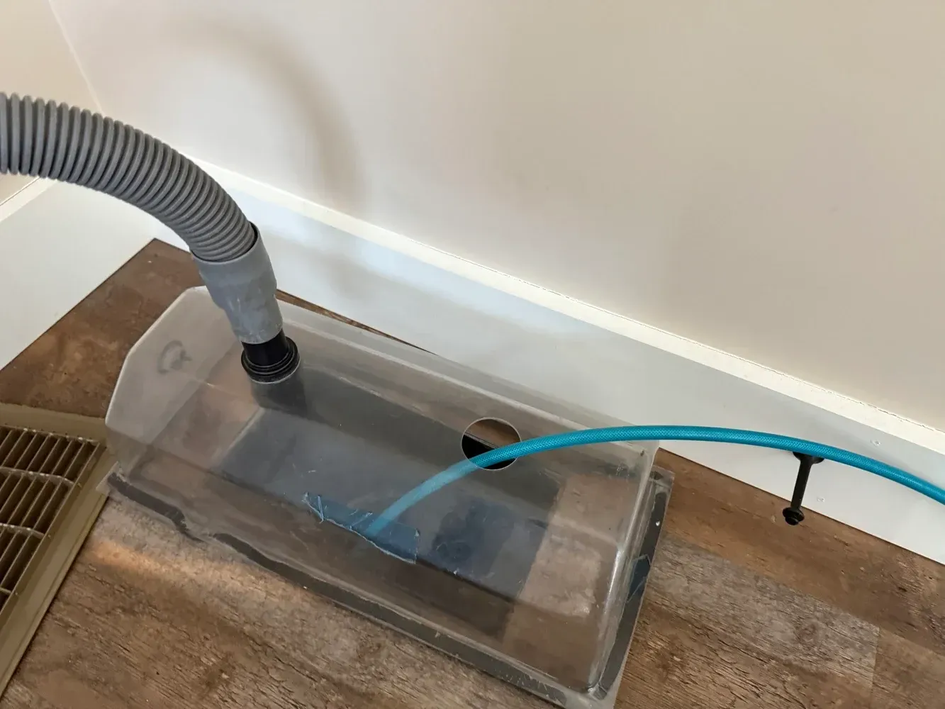 A carpet cleaning tool positioned on wooden floor next to a wall. A hose is connected, and a blue tube extends.