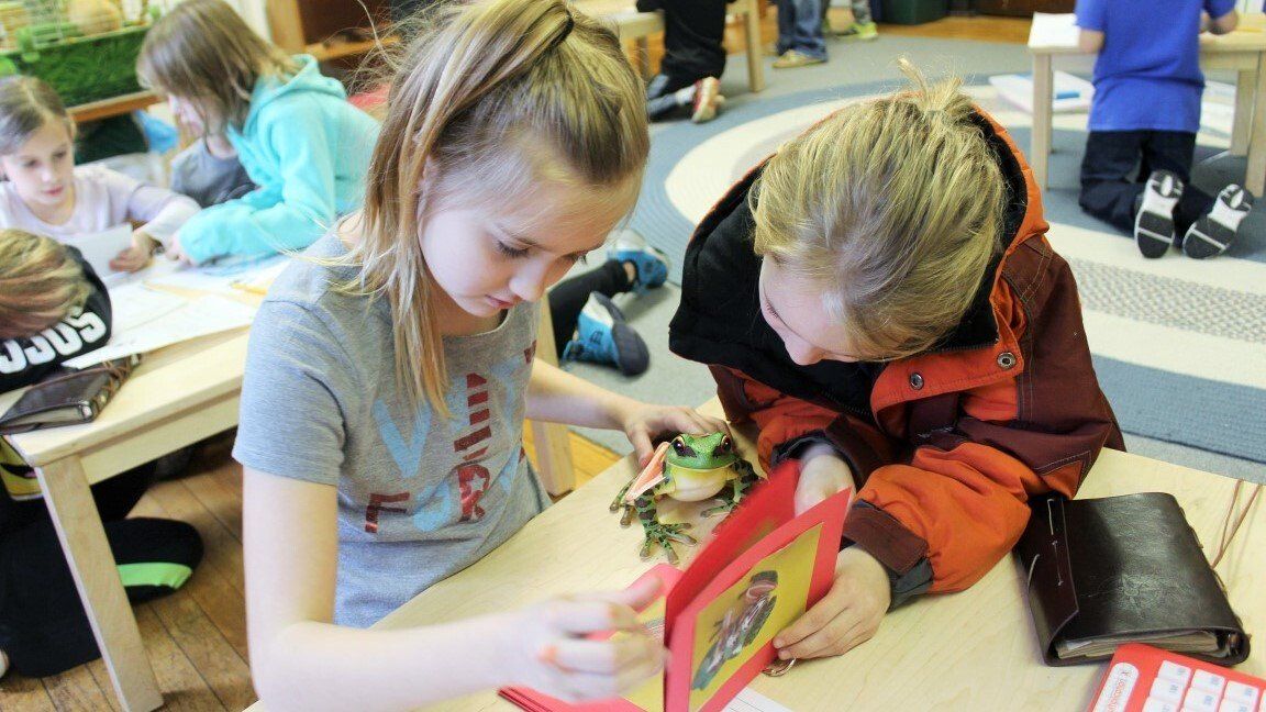 Elementary Curriculum