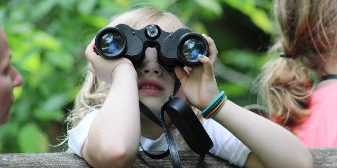 The joy of discovery