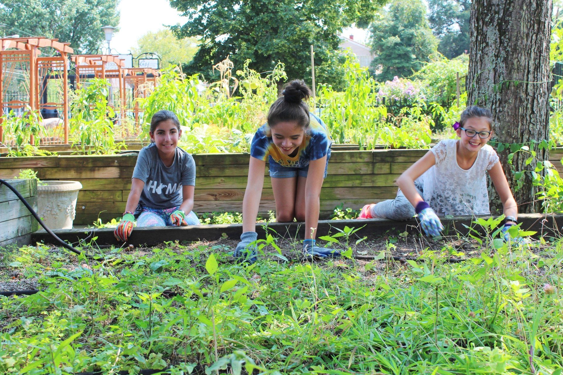 Student community garden