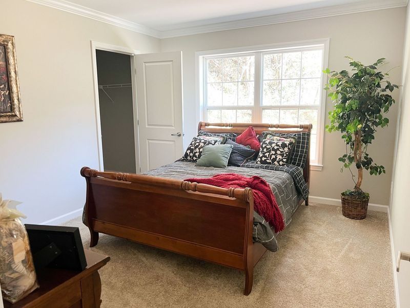 A bedroom with a wooden sleigh bed, a red throw blanket, a potted plant, a window, and a closet door.