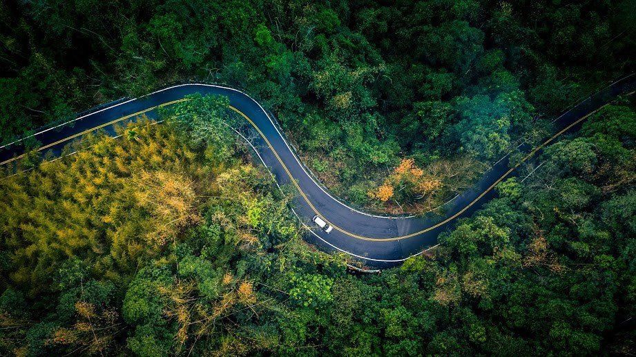 Winding mountain road cutting through dense green forest, viewed from above.