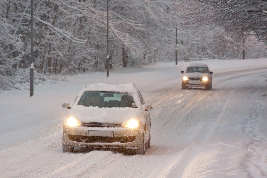 Two cars driving on a snowy, tree-lined road in a snowstorm