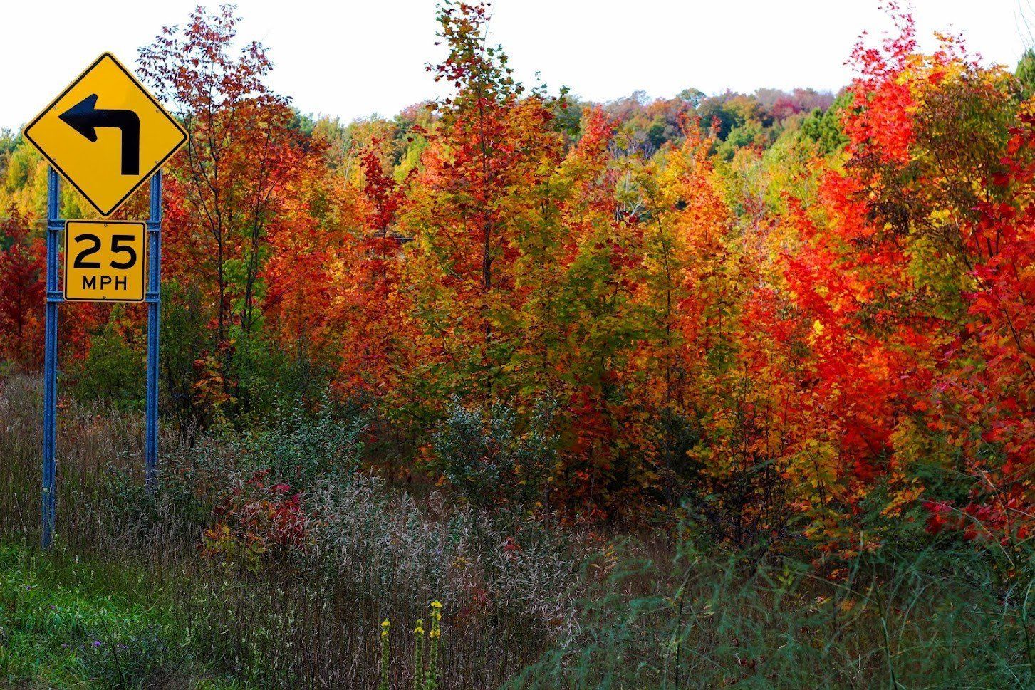 Left turn road sign beside autumn trees with red, orange, and yellow foliage