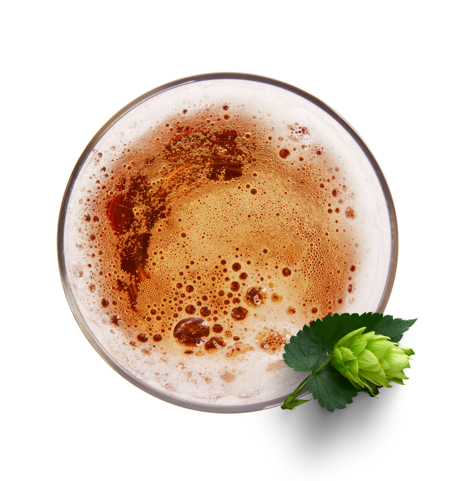 beer and hops