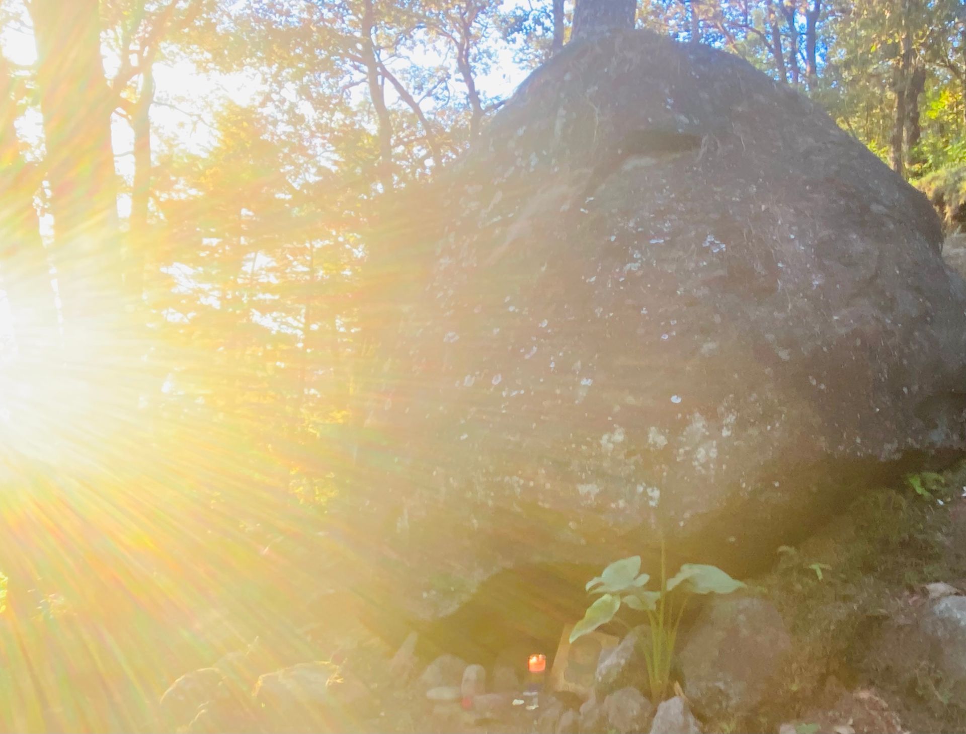 Ein großer Felsen mitten in einem Wald, durch dessen Bäume die Sonne scheint.