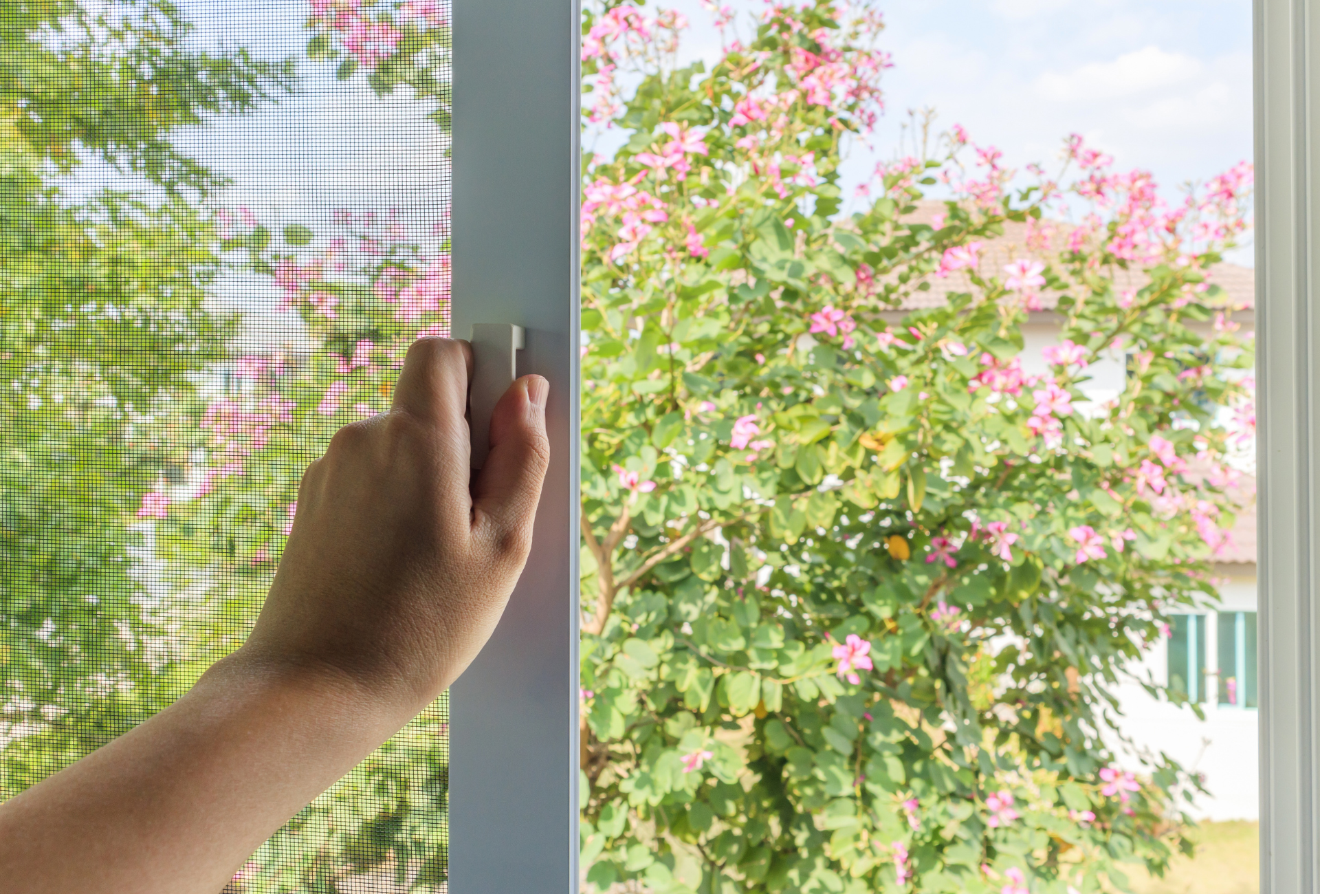 A person is opening a screened in window with a tree in the background.