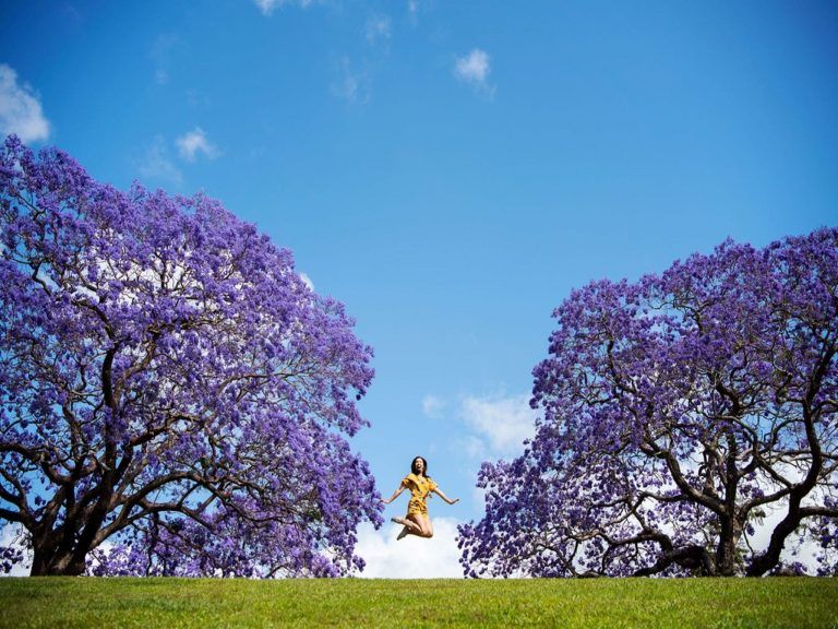 Clarence Correctional Centre