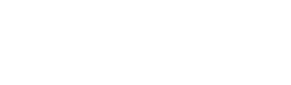 logo maniva