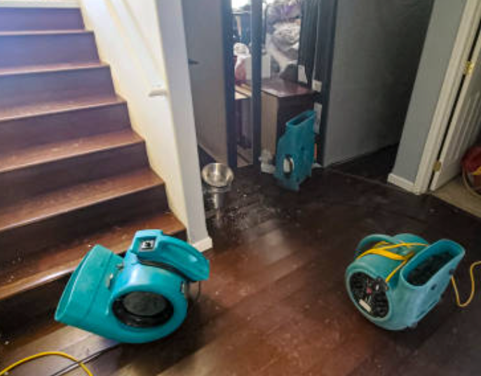 Basement Water Damage Cleanup Tuscaloosa AL