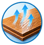 Hardwood Floor Drying