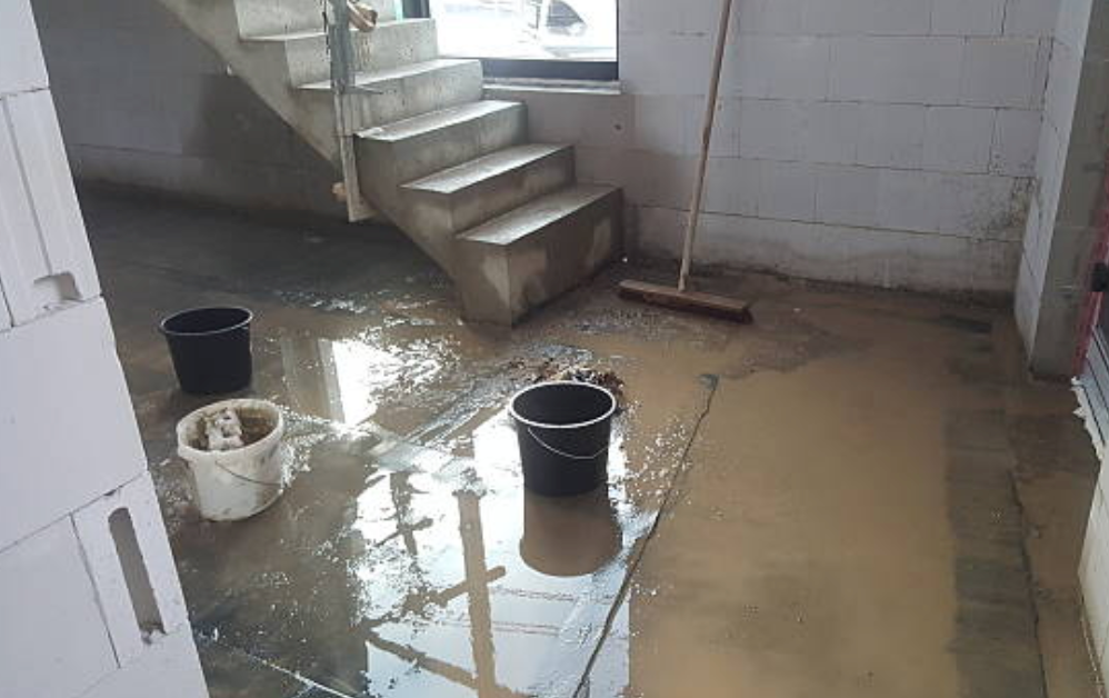 Basement Mold Tuscaloosa AL