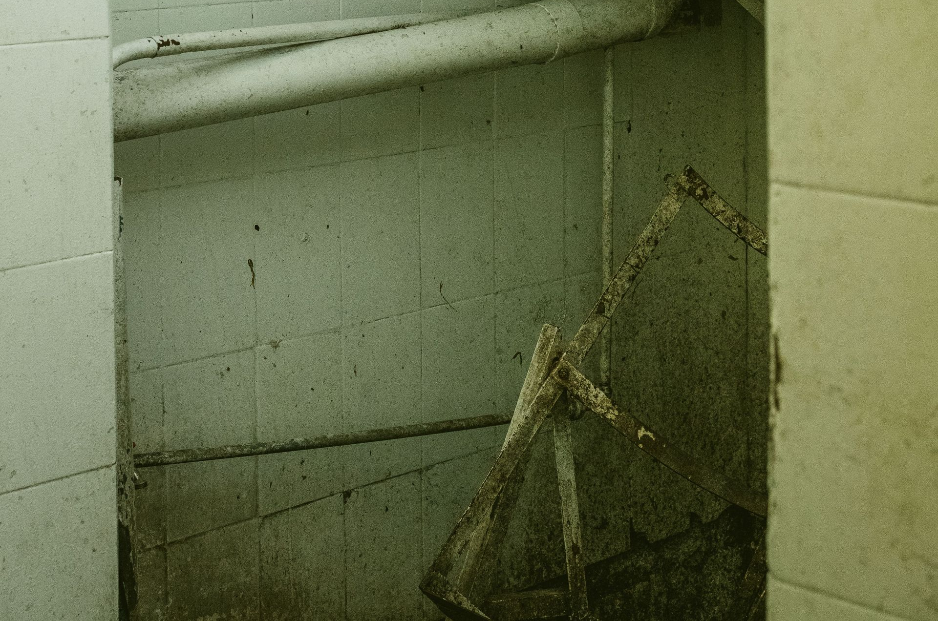 Basement Mold Tuscaloosa AL