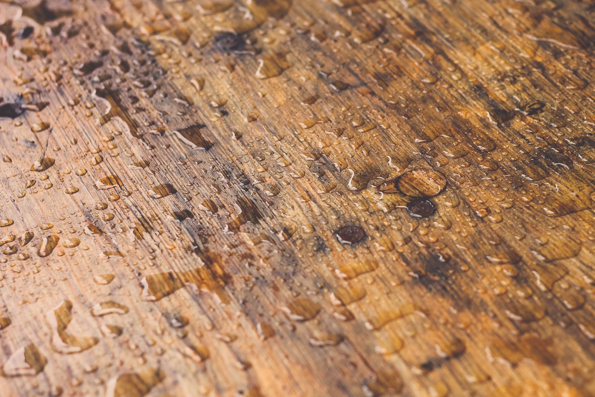 Hardwood floor water damage Tuscaloosa AL
